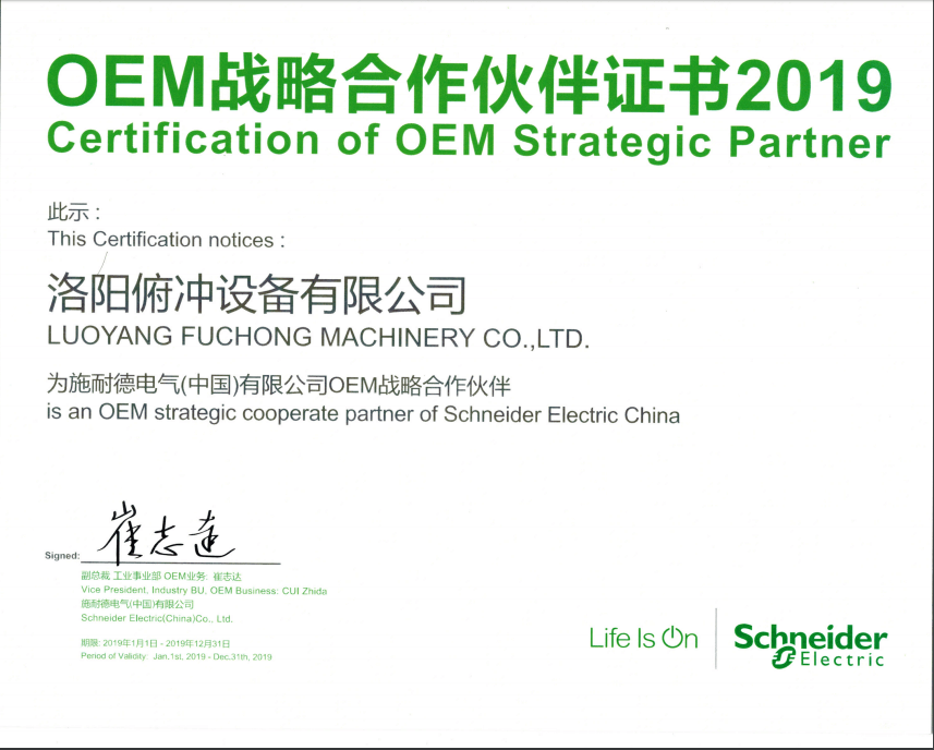 OEM战略合作伙伴证书2019